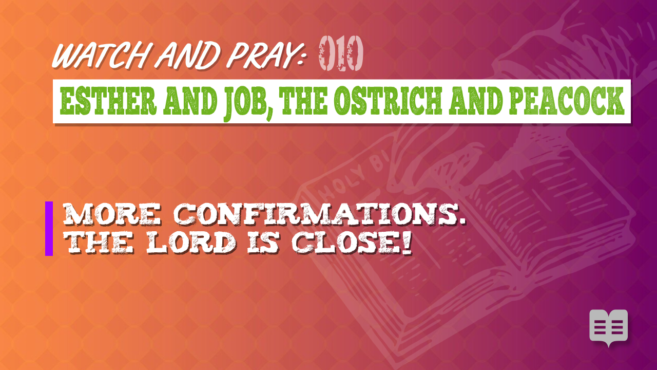 WATCH AND PRAY 010: ESTHER AND JOB, THE OSTRICH AND PEACOCK (Apologetics)