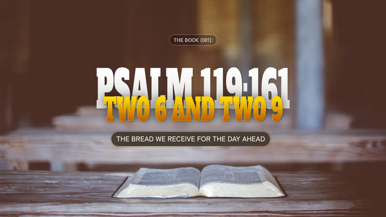 THE BOOK (001): PSALM 119:161, TWO 6 AND TWO 9